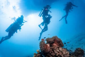 Is Koh Tao safe for divers