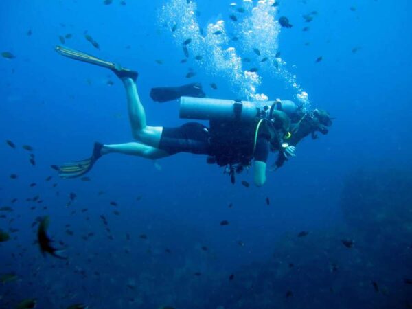 Koh Tao diving