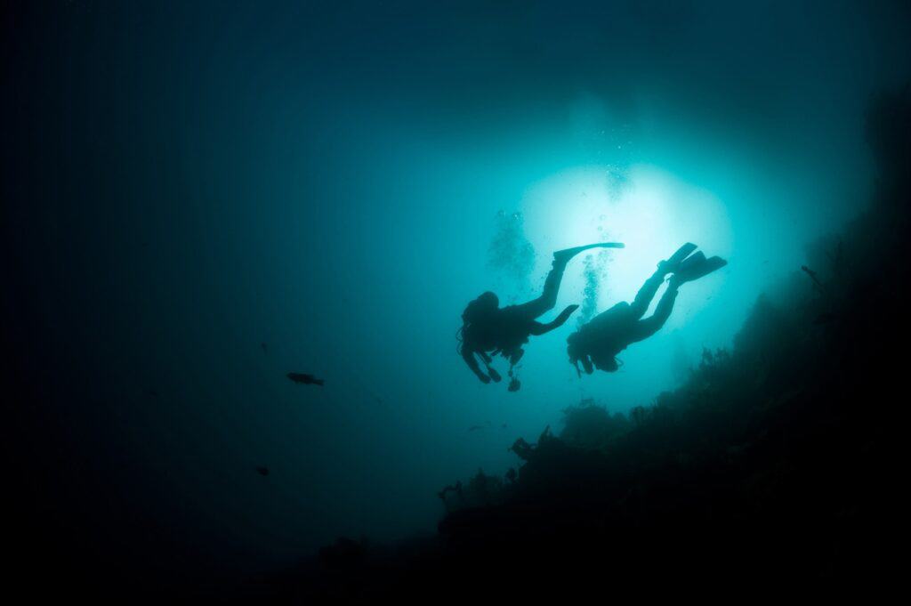 Divers ascending after night diving
