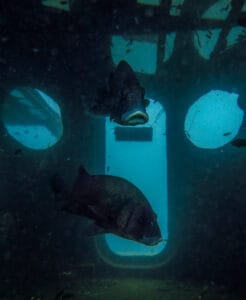 Inside the wheelhouse of the HTMS Sattakut