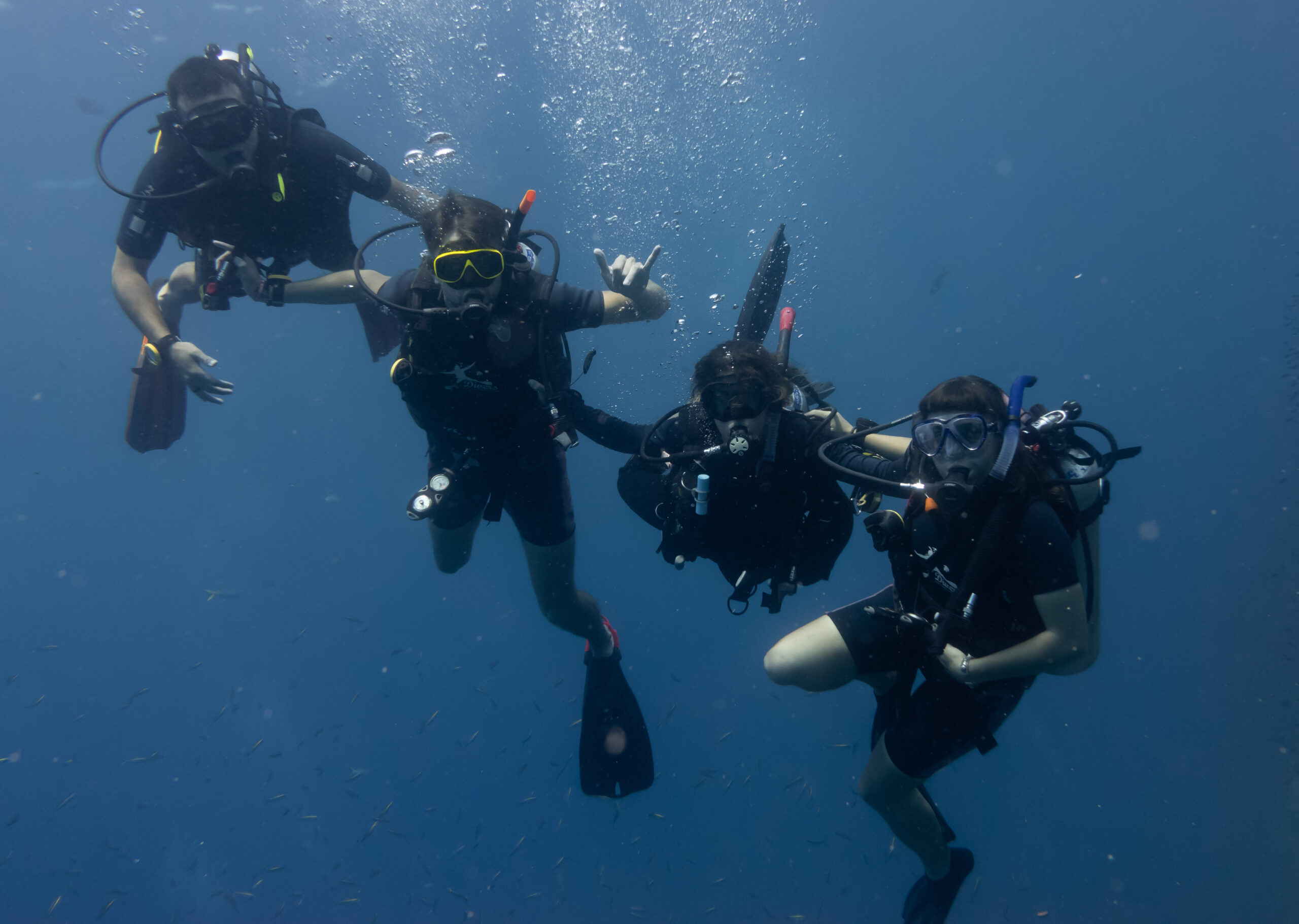 Koh Tao diving course