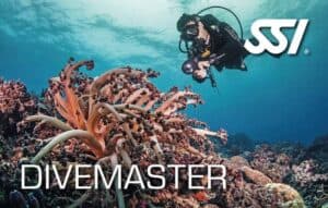 Complete the science of diving program and go from Dive Guide to DIvemaster