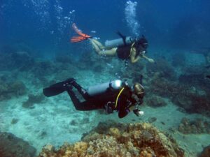 Discover diving on Koh Tao
