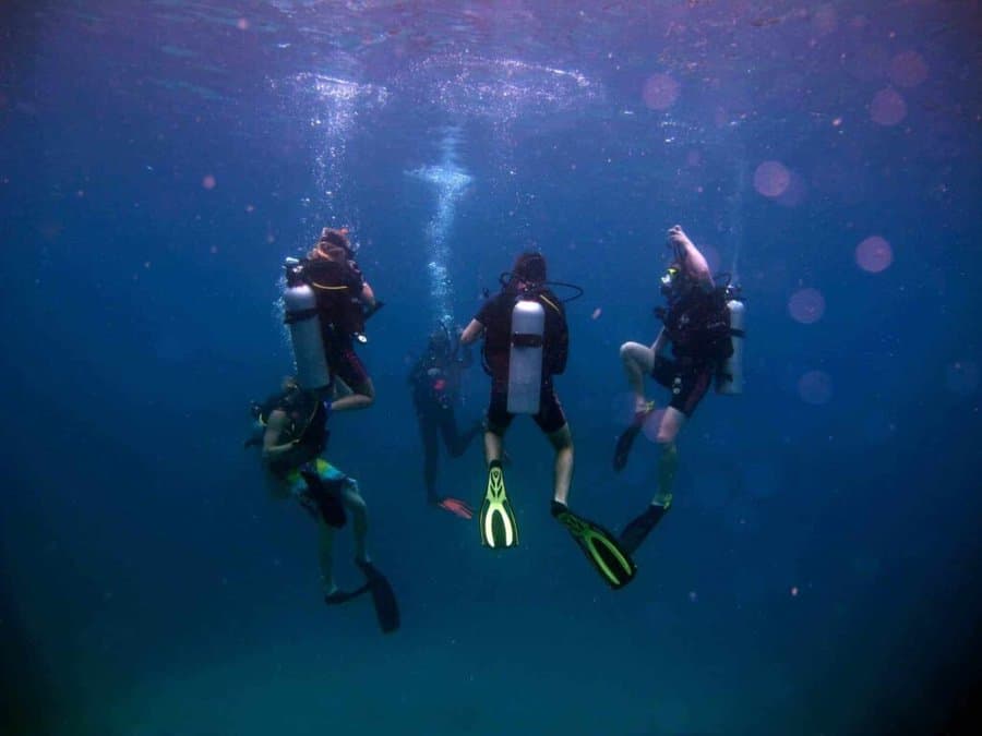 Diving on Koh Tao with turtles