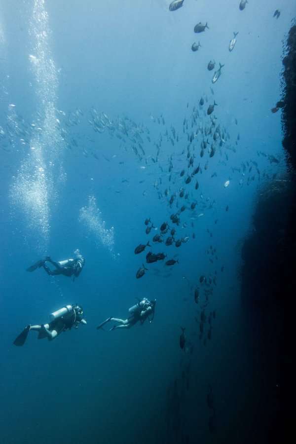 scuba diving in Koh Tao