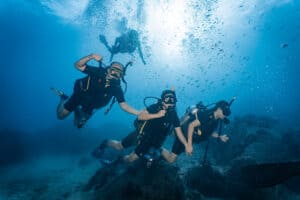 Why Koh Tao is good for diving