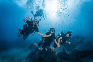 Koh Tao diving at White Rock