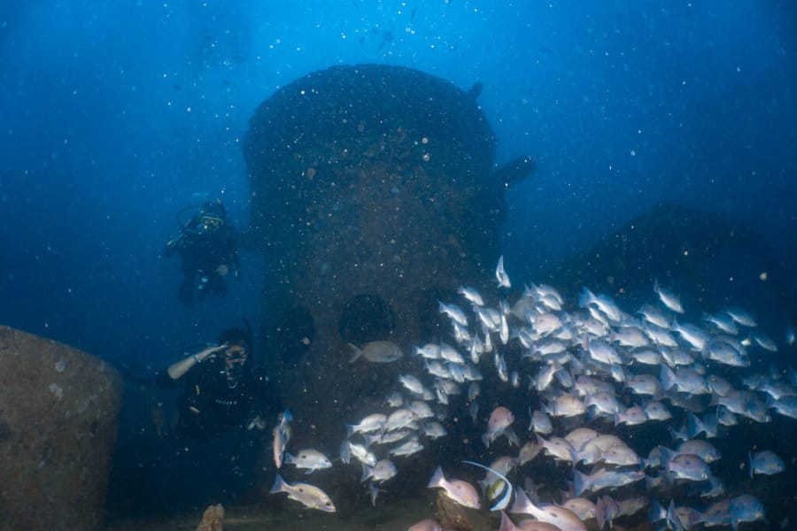 Koh Tao diving certifications include the wreck specialty course