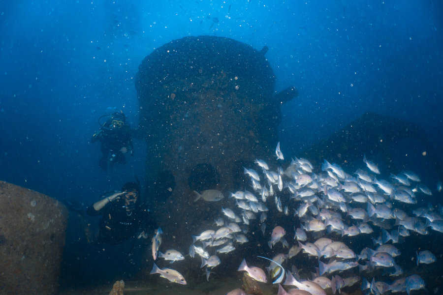 A scuba diver next to Koh Tao's wreck on the advanced course