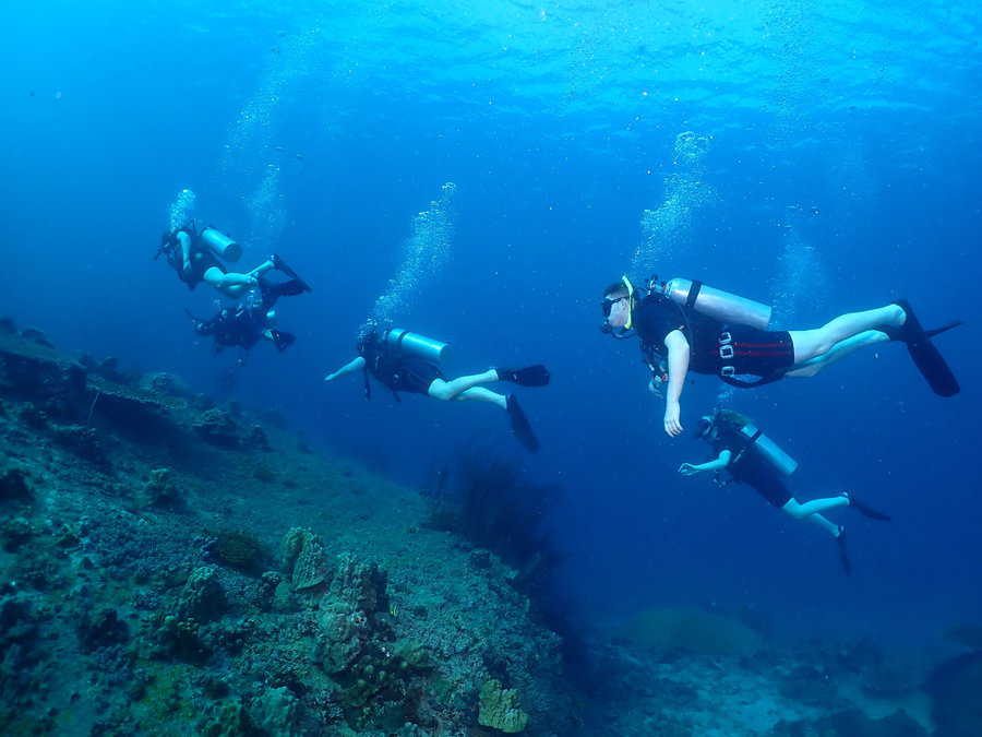 Koh Tao fun diving