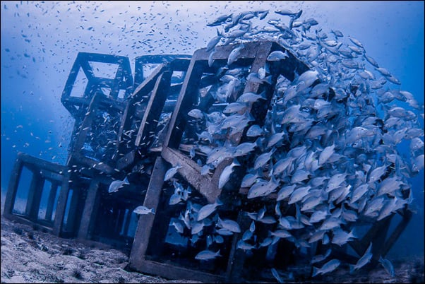 an artificial reef, perfect for learning buoyancy skills while diving