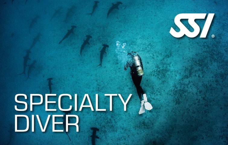 Specialty Diver Internship