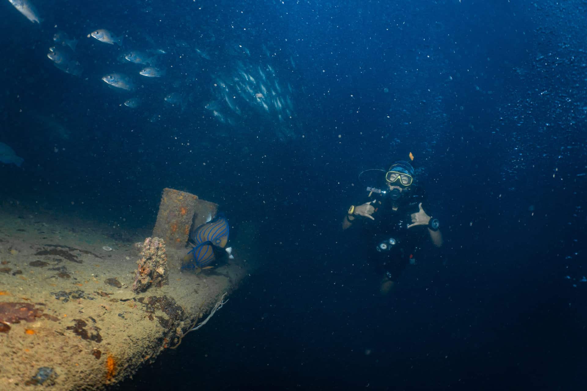 The wreck dive is part of the advanced course on Koh Tao